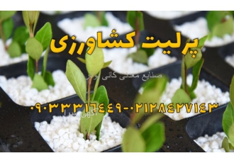 فروش پرلیت گلخانه کاربرد پرلیت در گلخانه ها پرلیت کشاورزی یک نوع سنگ