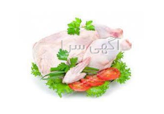 گوشت و مرغ ماهر به نام خاق هستی مرکز پخش گوشت و مرغ ماهر تازه منجمد