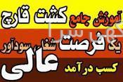 واردات برنج از پاکستان