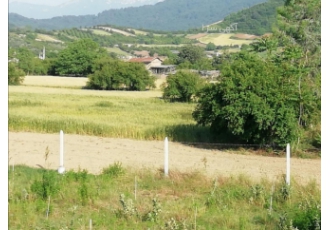 باغ300متر یابیشترتا2500متر روستای بالاجاده