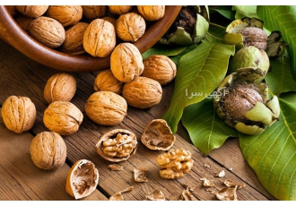 خرید و فروش گردو و مغز گردو خشکبار قائم آماده ارائه و پخش عمده انواع