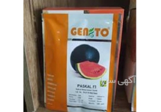بذر هندوانه پاسکال ( عرضه بذر کشاورزی )