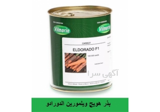 بذر هویج الدورادو ویلمورین F1 فروش و ارسال
