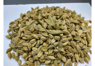 انواع ادویه فروش عمده زردچوبه زنجبیل و دارچین در تبریز زردچوبه قلم
