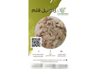 فروش زنجبیل قلم پودر زنجبیل و زنجبیل قلم در کرمان فروش زنجبیل قلم