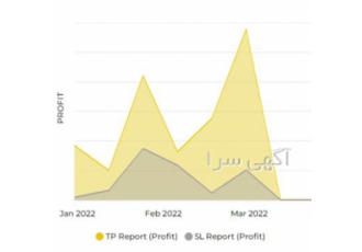 مشارکت در یک استارت آپ اپلیکیشن بین المللی مشارکت در یک استارت آپ