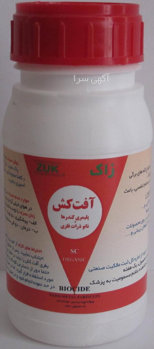 بذر شب بو