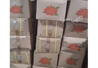 دارچین گلسرخی با کیفیت در تهران فروش عمده و جزئی دارچین گلسرخی به صورت