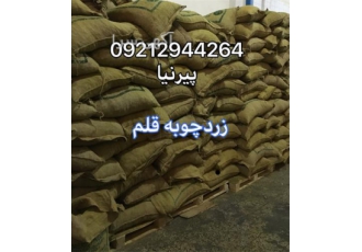 زردچوبه قلم هندی در تهران فروش عمده و جزیی زرد چوبه قلم هندی زردچوبه