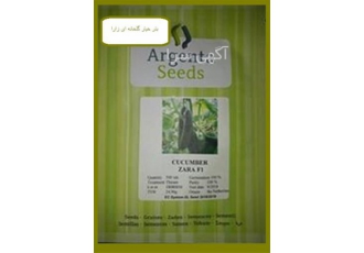فروش و عرضه بذر خیار زارا در همدان بذر خیار گلخانه ای زارا رقم پرگل