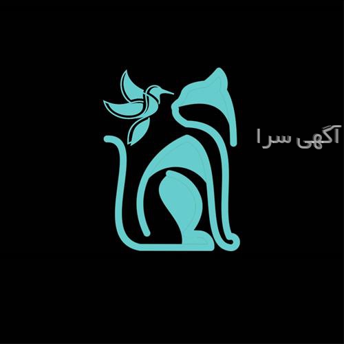 phd مدیریت خدمات بهداشتی و درمانی