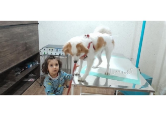 ارائه خدمات کلینیک دامپزشکی رادمان در کرمانشاه انجام کلیه امور درمانی
