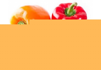 فروش اسانس فلفل خوراکی در تهران فروش اسانس فلفل خوراکی اسانس فلفل اسانس