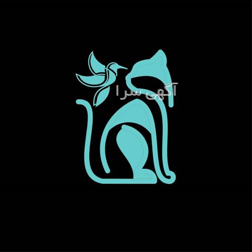 دامپزشکی طوطی