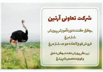 دوره آموزش پرورش شترمرغ