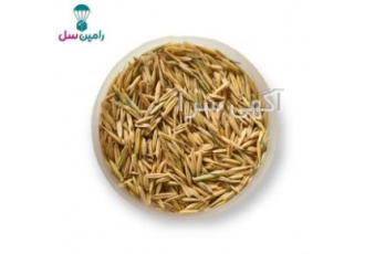 جو یولاف فروش جو یولاف برداشت خرداد ماه تضمین کیفیت