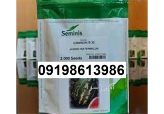 فروش بذر هندوانه b۳۲ پر فروش اصل با قیمت عالی در اردبیل بذر هندوانه b32