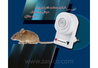 دفع دایمی موش ۱۰۰ درصد تضمینی دفع دایمی موش 100 درصد تضمینی دفع موش