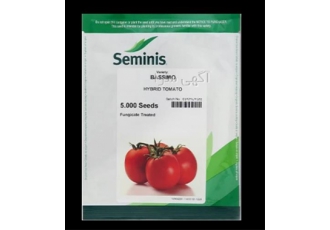 بذر گوجه فرنگی باسیمو Seminis بذر گوجه درجه ۱ در کرمان بذر گوجه فرنگی
