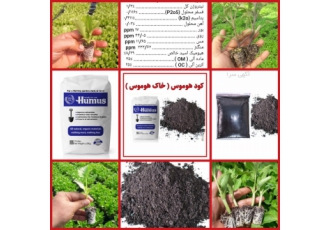 خاک ( کود ) هوموس خاک هوموس کود هوموس ✔ حاصلخیزترین خاک بعنوان کود آلی
