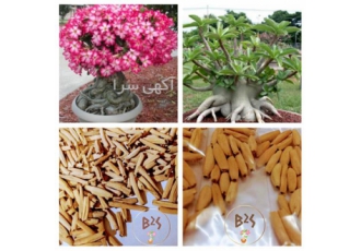 فروش انواع بذر، خاک، کود، گلدان و غیره