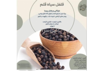 فروش فلفل سیاه قلم ویتنام