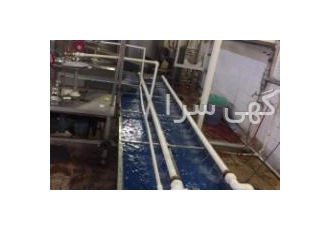 ماشین سازی دولتی طراح و سازنده انواع نوار نقاله جهت تولید و بسته بندی