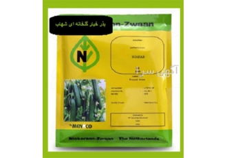 بذر خیار گلخانه ای شهاب خیار گلخانه ای تک گل در مشهد فروش بذر خیار
