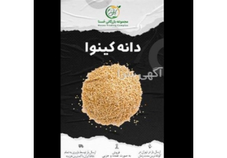 دانه کینوا حسنا