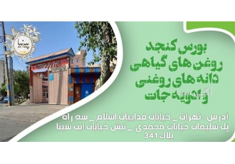 زردچوبه قلم برند محسن