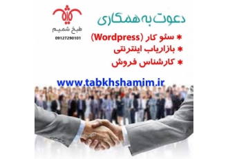 کارشناس سئو