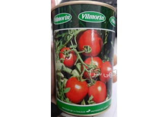 گوجه فرنگی ویلمورین بذر پر فروش