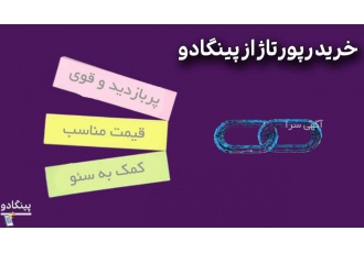 خرید رپورتاژ از پلتفرم پینگادو به مناسبت افتتاح سایت و پلتفرم پینگادو