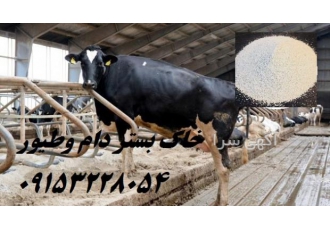 بستر دام وطیور بنتونیت بستر دام و طیور بنتونیت با توجه به خصوصیات منحصر