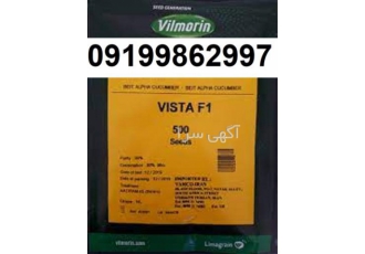 قیمت بذر خیار ویستا پرفروش و اصل