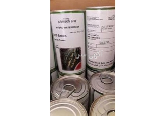 فروش بذر هندوانه b32 پر بار