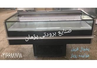 فریزر ماهی سازنده مستقیم در تهران صنایع برودتی پژمان از تولید به مصرف