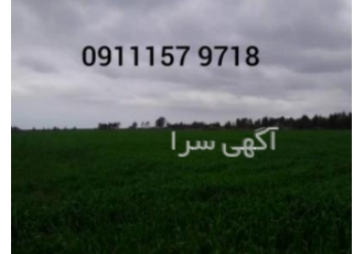 فروش زمین کشاورزی و زمین مرغداری در ساری