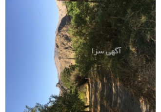 باغ میوه جاده سنقربیست کیلومتر بعد از بیستون باغ میوه گردو سیب هلو