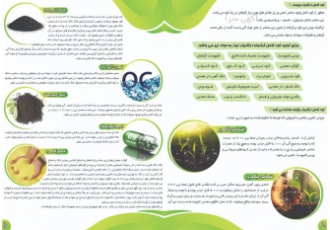 کارخانه کود زامیاد کارخانه کود زامیاد تولید کننده مرقوب ترین کود