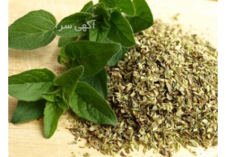 فروش ادویه اورگانو وارداتی در تهران فروش ادویه اورگانو پونه کوهی