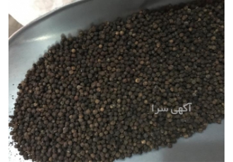 فروش فلفل سیاه قلم و انواع ادویه جات