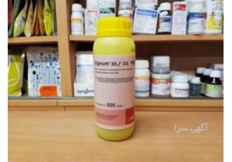 فروش قارچکش/ ///سیگنوم اصل