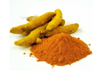 فروش عمده زردچوبه قیمت مناسب و تضمین کیفیت در اصفهان فروش عمده زردچوبه