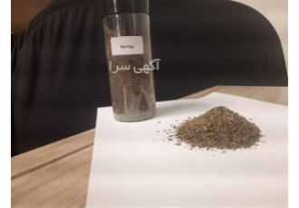 فروش دانه زیره سیاه در تهران زیره سیاه تمیز بدون چوب هم خرده و هم عمده