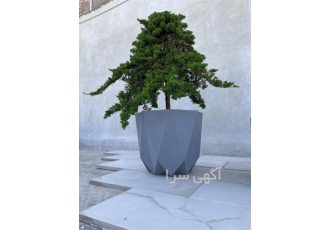 تولیدی گلدان بتنی قیمت گلدان بتنی تکی و عمده در اردبیل مرکز فروش گلدان