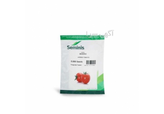 بذر گوجه بدرو 8320