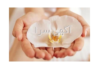 ارائه انواع خدمات درمانی واژینیسموس در ساری | دکتر هدی حق نظر
