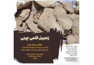 فروش زنجبیل قلم