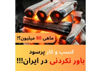 دستگاه تولید زغال راه اندازی کسب و کار پرسود در ایران هلدینگ سازه